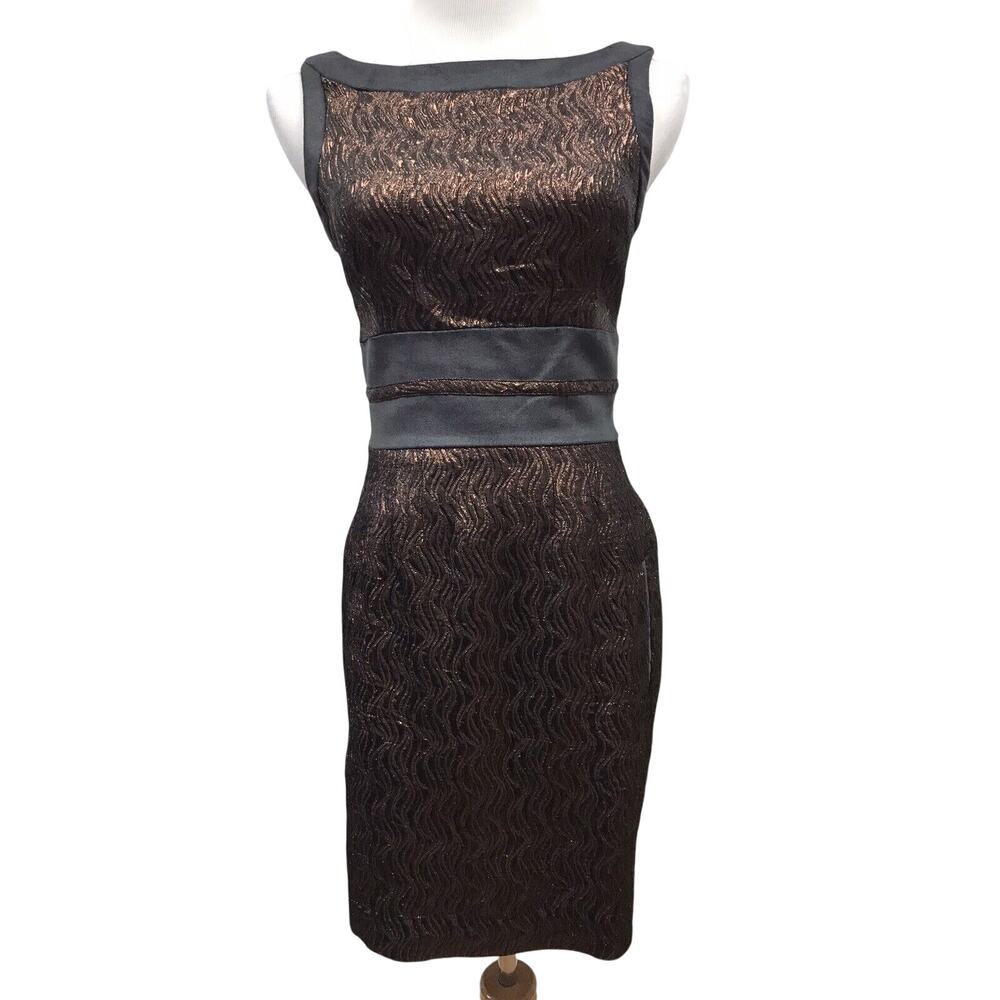 Walter Dress Womens 2 Brown Black Shiny Silk Lined Pockets